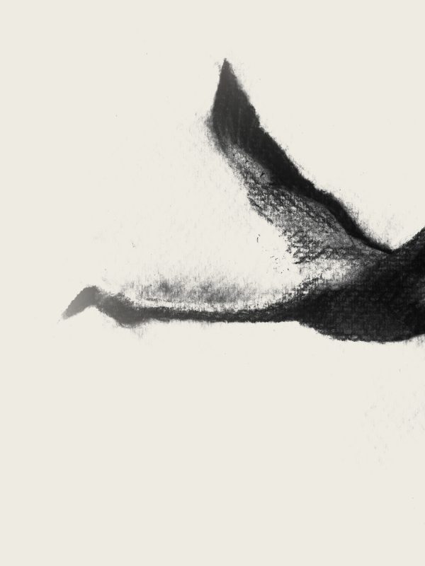 Flying Flamingos - Imagen 2