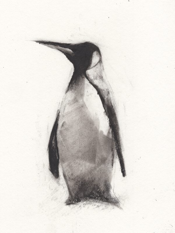 Penguin N2 - Imagen 4