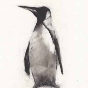 Penguin N2