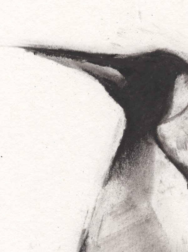 Penguin N2 - Imagen 3