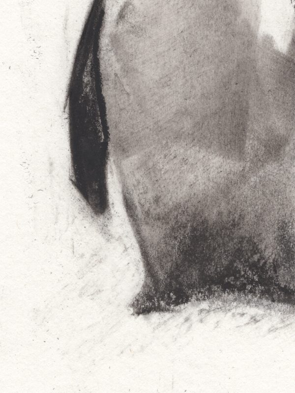 Penguin N2 - Imagen 2