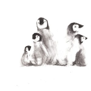 Penguins N1