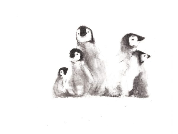 Penguins N1