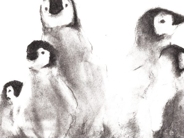 Penguins N1 - Imagen 4