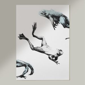 Ranas N3