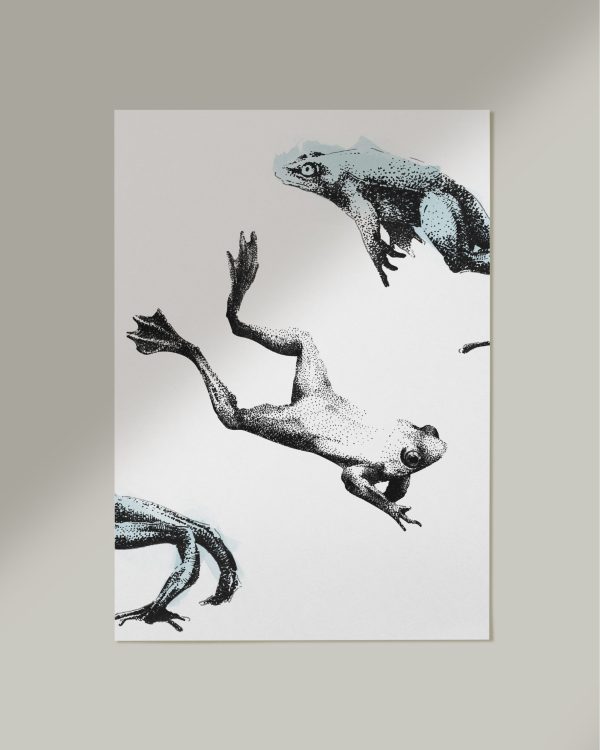 Ranas N3